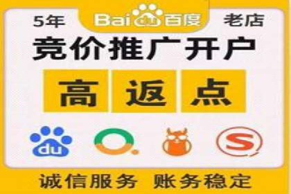 搜索引擎推广的佼佼者——百度搜索推广案例